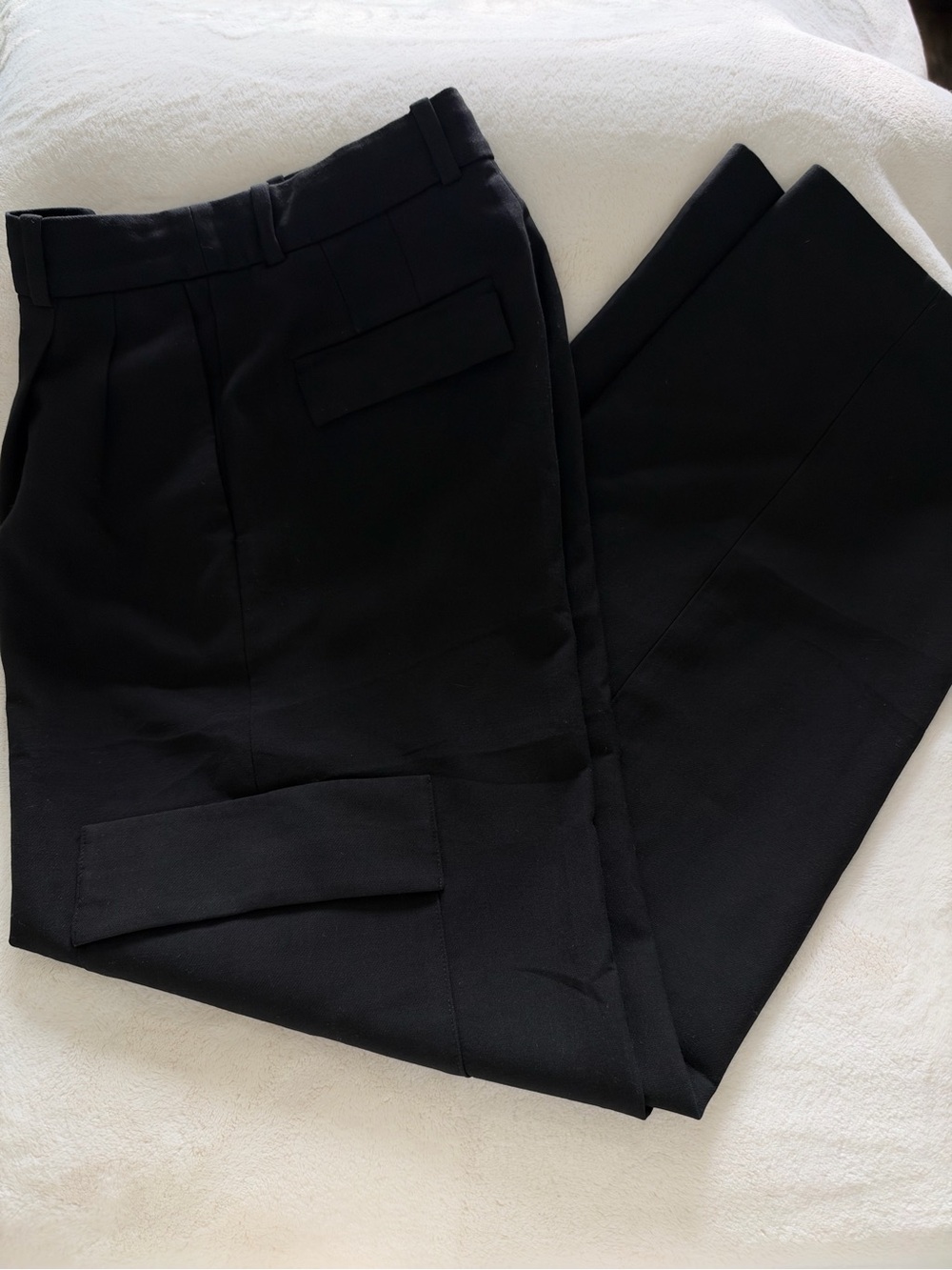 ARITZIA spotlight cargo pants-babaton